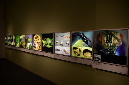 Wasp_exhibition__DSC3433